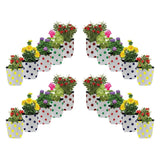 Set of 20 premium colourful Dotted Grow bags (20*20*35 cms)