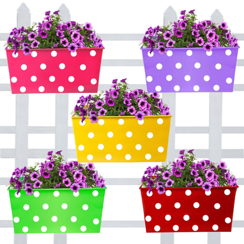 Best Metal Flower Pots in India - Rectangular Dotted Balcony Railing Garden Flower Pots/Planters - Set of 5 (Red, Yellow, Green, Magenta, Purple)