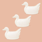 TrustBasket Duck Pot