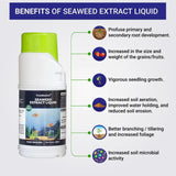 Easy Plant Care Liquid Kit