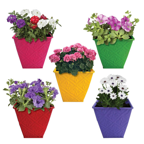 Mega Year End Sale with Best Sellers - TrustBasket Small Table Top Planters/Pots (Red,Yellow, Green, Purple, Magenta) - Set of 5