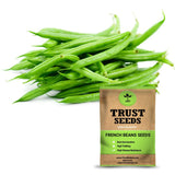 French beans seeds (Open Pollinated)