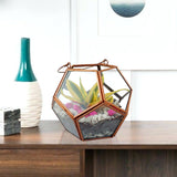 Geometric Terrarium