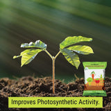 TrustBasket Plant Growth Promoter/Booster Organic Fertilizer