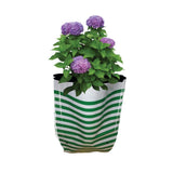 Premium Colorful Stripe Grow Bag - Set of 5 (20*20*35 cm)