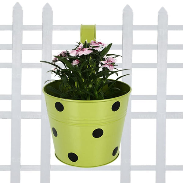 Railing Planters Round Dotted