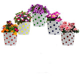 Set of 20 premium colourful Dotted Grow bags (20*20*35 cms)