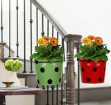 Railing Mountable Hanger with 4 Dotted Flower Pots (Orange, Yellow, Green, Red)