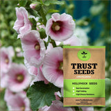 Hollyhock Seeds (OP)
