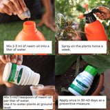 Neem Oil for Plants (100ml)