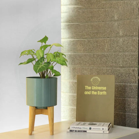 Coral Mid Century Stand with Pot