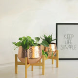 Decal Mid Century Stand with Pot
