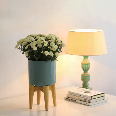 Coral Mid Century Stand with Pot