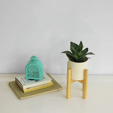 Glare Mid Century Stand with Pot