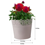 Lace Planter With Hanging Chain - Set of 5 (Yellow, Teal, Pink, Ivory, Purple)