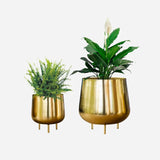 Jalsa Planter (Set of 2)