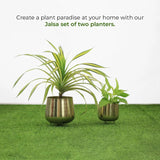 Jalsa Planter (Set of 2)