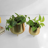 Jalsa Planter (Set of 2)