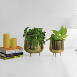 Jalsa Planter (Set of 2)