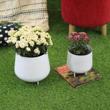 Jalsa Planter (Set of 2)