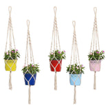 TrustBasket Lace Planter with Contemporary Hanger