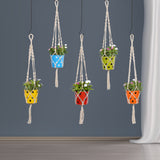 TrustBasket Round Dotted Planter with Contemporary Hanger