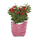 Premium Colorful Stripe Grow Bag - Set of 10 (20*20*35 cm)