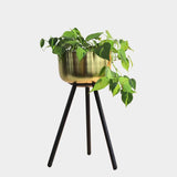 Marcel Planter Stand