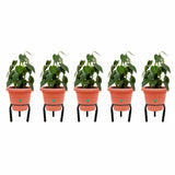 Matka Stand (Set of 5)-Pot stand, indoor outdoor pot stand,planter stand for home garden,balcony