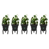 Matka Stand (Set of 5)-Pot stand, indoor outdoor pot stand,planter stand for home garden,balcony