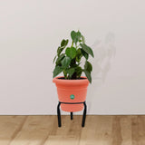 Matka Stand (Set of 5)-Pot stand, indoor outdoor pot stand,planter stand for home garden,balcony