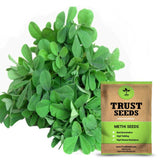 Methi seeds (Open Pollinated)