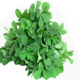 Methi seeds (Hybrid)