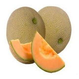 Musk melon seeds (Open Pollinated)
