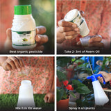 Set of 2 Neem Oil for Plants (100ml each)