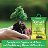 TrustBasket Bonsai Soil Mix