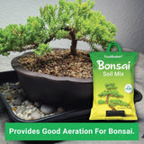 TrustBasket Bonsai Soil Mix