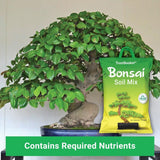 TrustBasket Bonsai Soil Mix