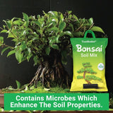 TrustBasket Bonsai Soil Mix