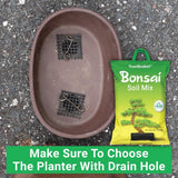 TrustBasket Bonsai Soil Mix