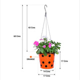 TrustBasket Dotted Round Planter with Hanging Wire Rope