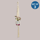 TrustBasket Macrame Hanger