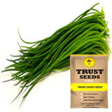 Onion Chives Seeds (Hybrid)