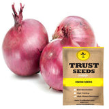 Onion seeds (Hybrid)