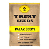 TrustBasket Palak Grow Kit