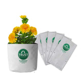 TrustBasket Large Poly GrowBags UV Stabilized  -5 Qty [24cms(L)x24cms(W)x40cms(H)]