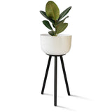 Marcel Planter Stand