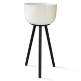 Marcel Planter Stand