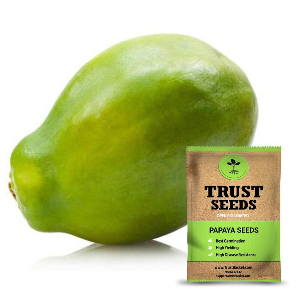 papaya plant seeds home & garden > plants > seeds – TrustBasket