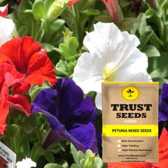 potting mix for petunias Petunia mixed seeds (Hybrid)